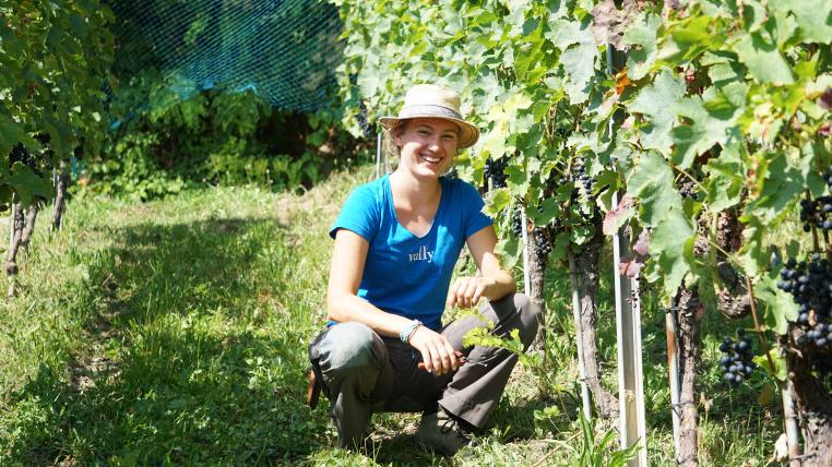Marion Reutemann hat sich für zwei Demeter-Lehrbetriebe entschieden. «Biologischer Weinbau hat mehr Zukunft», sagt sie.