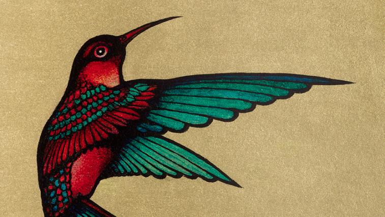 Farben verwendet Hans Rüttimann aber auch gerne, wenn er Vögel malt, ...