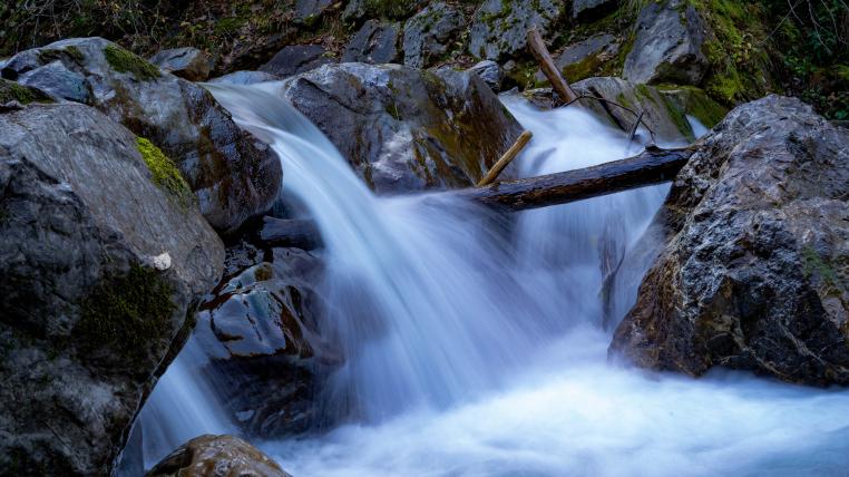 Neue Methode identifiziert Biodiversitts-Hotspots in Flssen - tierwelt.ch  | TierWelt