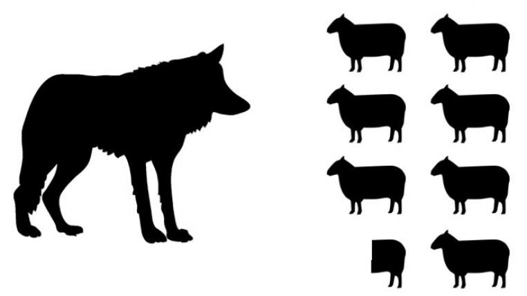 Im Wallis ist der Wert eines Wolfes auf siebeneinhalb Schafe gefallen.