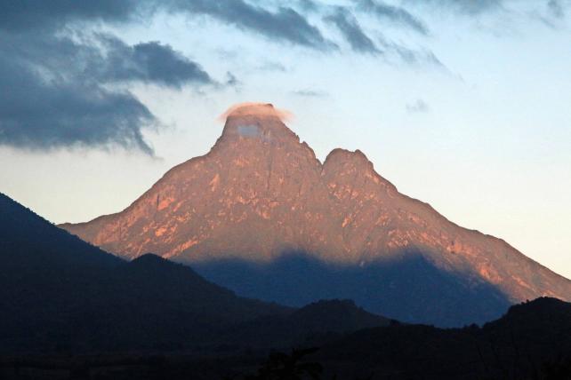 Auf der ruandischen Seite der Virunga-Vulkane – hier der Mikeno – gründete Dian Fossey ihre Forschungssation. Die Bergkette befindet sich auf der Grenze zur Demokratischen Republik Kongo.