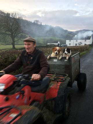 In der Kategorie «Dogs at Work» gewinnt Dorine Scherpel aus Kanada. Ihr Foto zeigt die Hunde Sam und Laddie mit ihrem Farmer. Aufgenommen wurde es im Lake District in England.