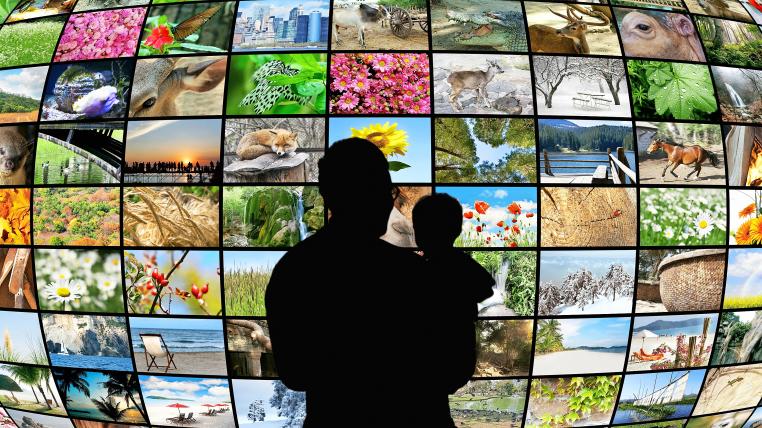 Ostern ist die Zeit der Tier- und Naturfilme: ein Blick ins TV-Programm.