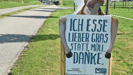 Plakate wie jenes inFislisbach weisen darauf hin, die Kühe zeigen es gleich selber: Am liebsten fressen sie Gras.