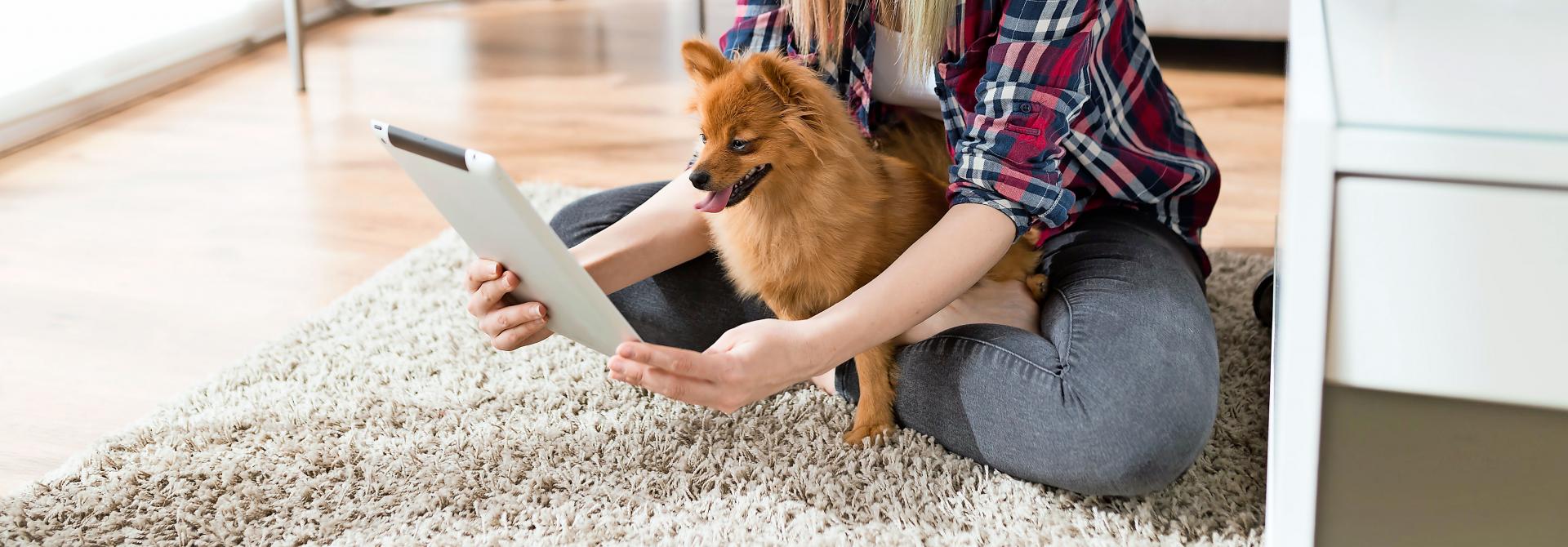 Frau bei Videokonferenz mit Hund