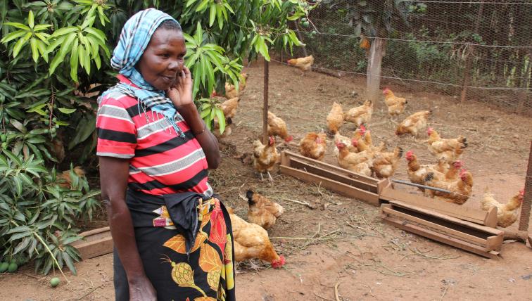 In den umliegenden Dörfern unterstütz African Parks viele Projekt zum Beispiel die Zucht und Haltung von Hühnern und den Verkauf der so erhaltenen Eier.
