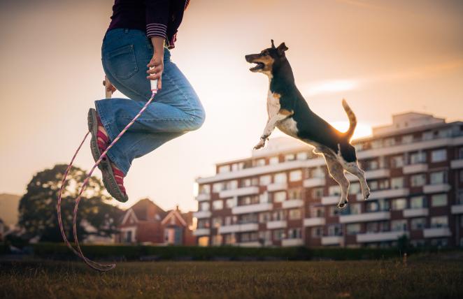 Der in England wohnhafte ungarische Fotograf Zoltan Kecskes holt sich den zweiten Platz in der Kategorie «Dogs at Play». Sein Foto zeigt Rebel beim Seilspringen mit seinem Frauchen Kathleen.