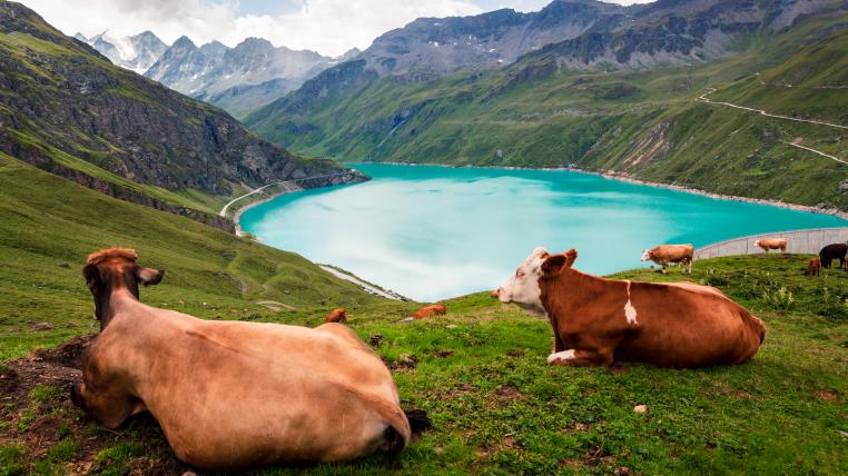 Die Wasserkraft soll in der Schweiz ausgebaut werden, in diesem Punkt herrscht Einigkeit. Was das für den Schutz und die Biodiversität allerdings bedeutet, darüber gehen die Meinungen auseinander.