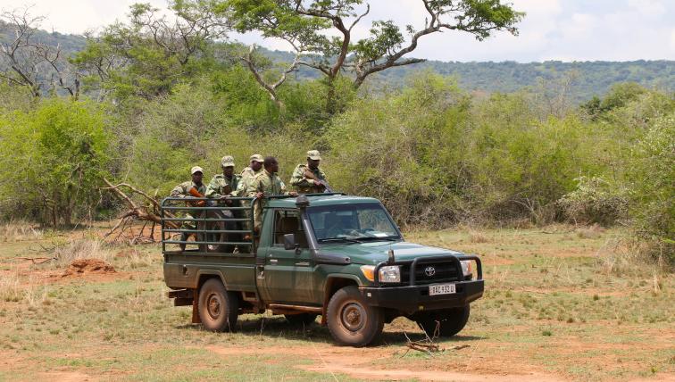 Ranger von African Parks patrouillieren ständig, um Wilderei zu verhindern.