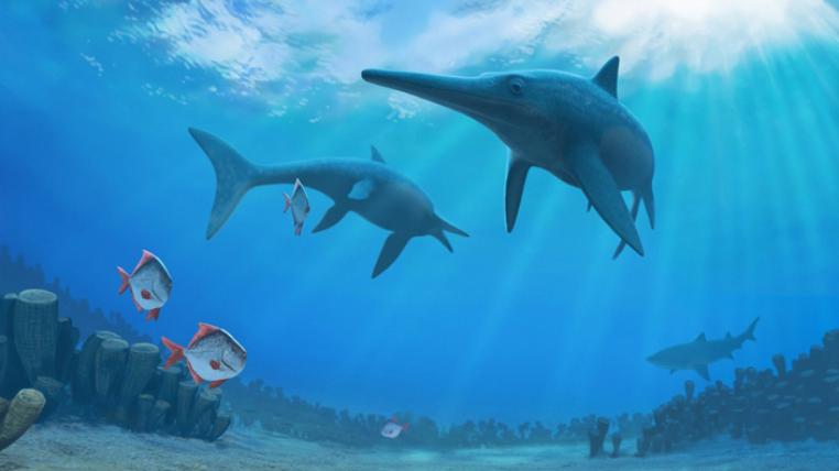 Das typische marine Ökosystem zu Beginn der Oberkreide, als die Ichtyosaurier ausstarben: Riffe von Muscheln aus der ausgestorbenen Ordnung der Rudisten, Haie und Acantomorpha, eine Gruppe von modernen Fischen, die sich seit der Oberkreide nachweisen lässt, schwimmen mit den letzten Ichtyosauriern.