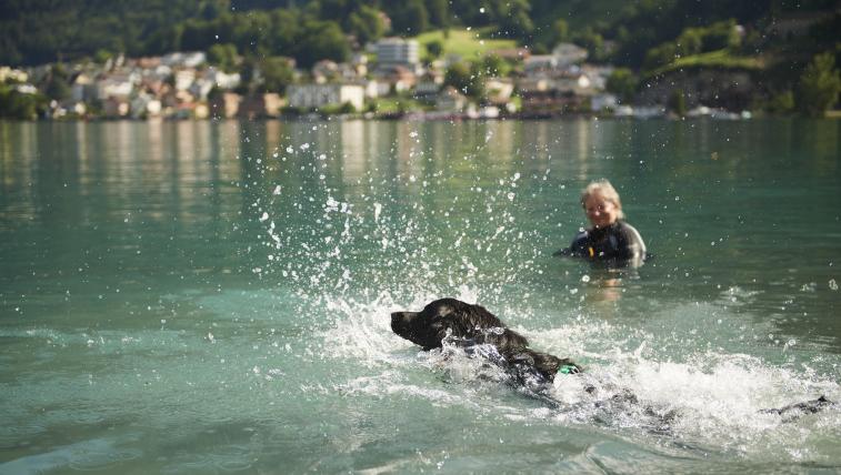Mit viel Elan platscht dieser Hund ins Wasser ...