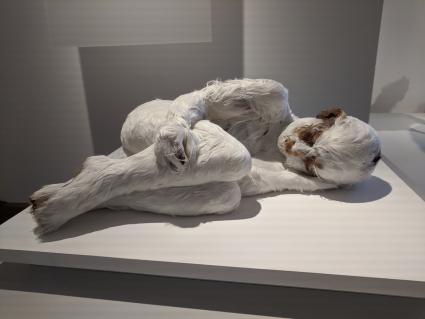 «Feather Child I» von Lucy Glendinning (2011). Die britische Künstlerin stellt hier die Frage nach der Zukunft des Menschen in einer Welt, in der die Gene beeinflusst werden können.