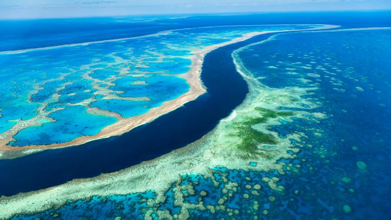 Australien und die Unesco streiten sich um den Gefährdungsstatus des Great Barrier Reefs.