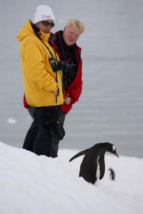 Das«Eau de Paulet» — der typische Geruch der Pinguine, bleibt den Expeditionsteilnehmern noch lang nach der Begegnung in der Jacke hängen.