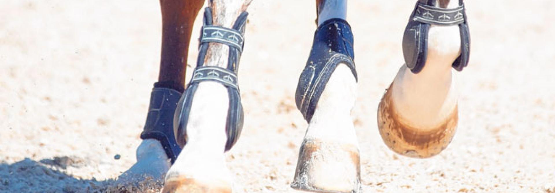 Lixada Einstellbar Pferd Beinstiefel Equine Vordere Beinschutz Reiter Sehne Schu 