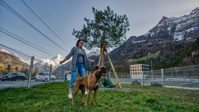 Mit dem Hund auf der Raststaette