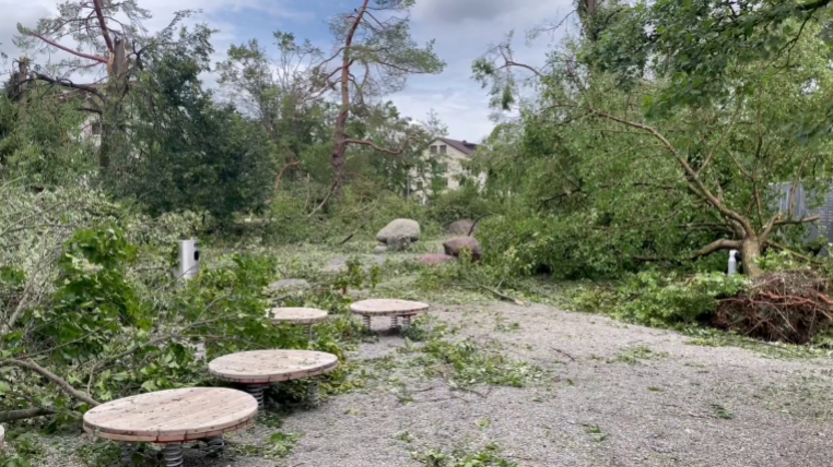 Die Zerstörungen an Zürichs Baumbestand aufgrund von Unwettern dieses Jahr waren heftig. Wie wichtig Bäume fürs Klima sind, untermauert eine neue Studie der ETH Zürich.
