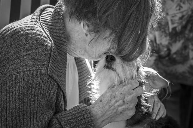 In der Kategorie «Assistance Dogs» gewinnt Angelika Elendt aus Deutschland. Das Foto zeigt die Hündin Lilly bei der «Arbeit» in einem Altersheim.