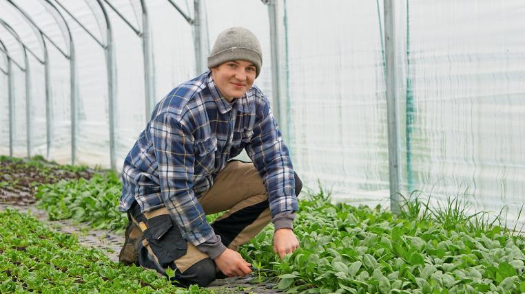 Pascal Nyfeler ist im dritten Lehrjahr zum Biolandwirt. Er schätzt die Abwechslung auf seinem Lehrbetrieb mit Obst, Gemüse- und Ackerbau.
