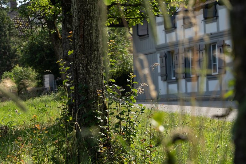 Adrian Schluep: Natürlich an der Ringstrasse!
