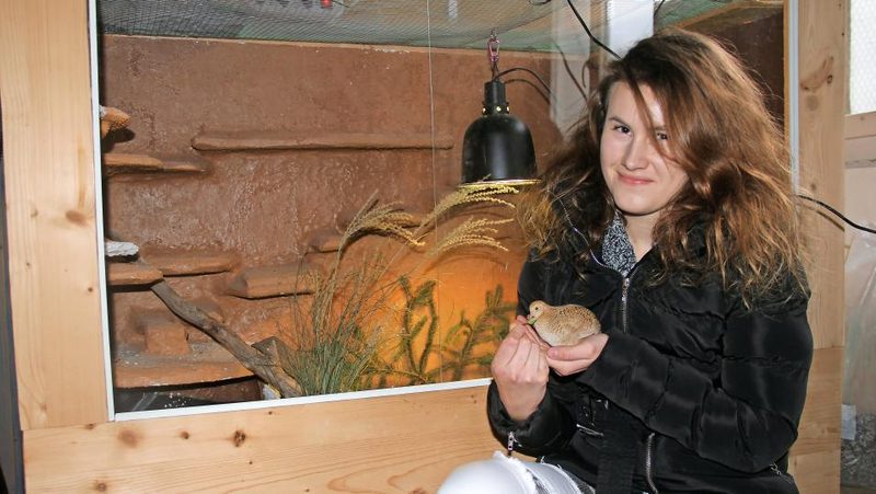 Cynthia Nupnau mit Zwergwachtel