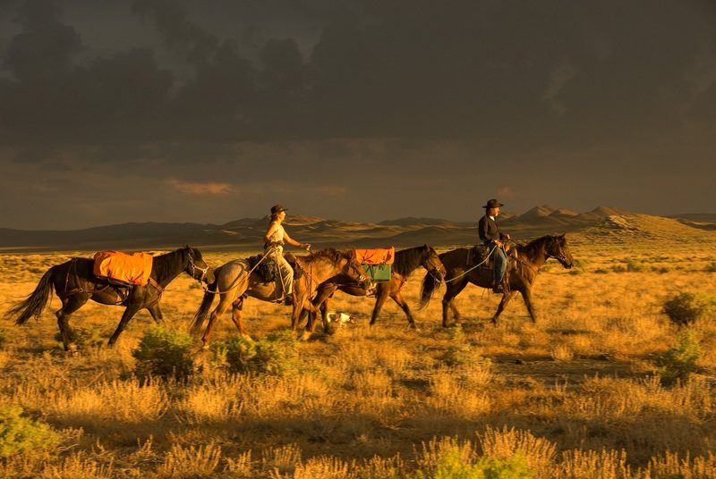 im Great Divide Basin, Wyoming