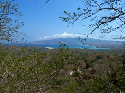 10-rinca.JPG