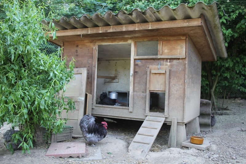 Tiere im Garten