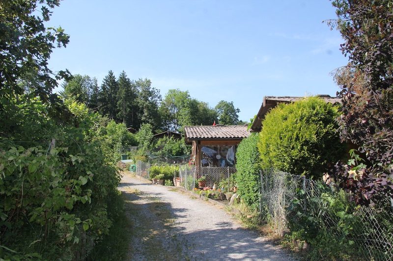 Tiere im Garten