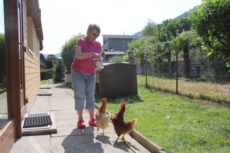 Tiere im Garten