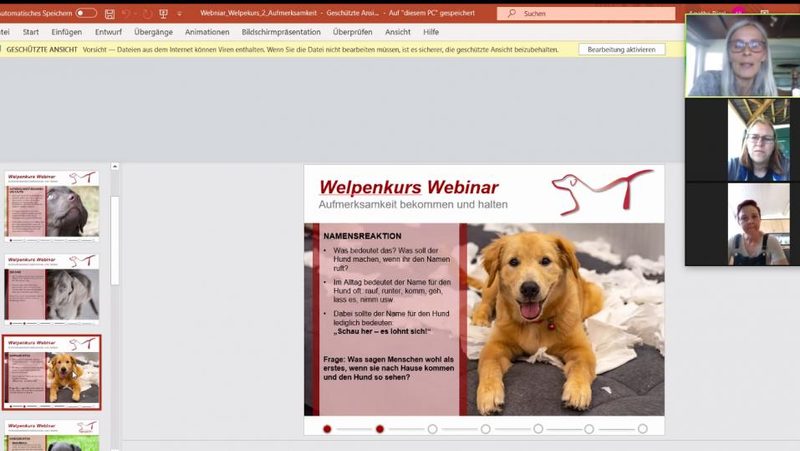 Screenshot Online-Hundetraining