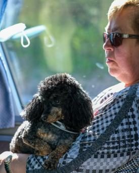 Reise mit dem Hundecar