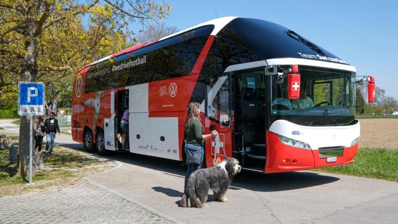 Reise mit dem Hundecar