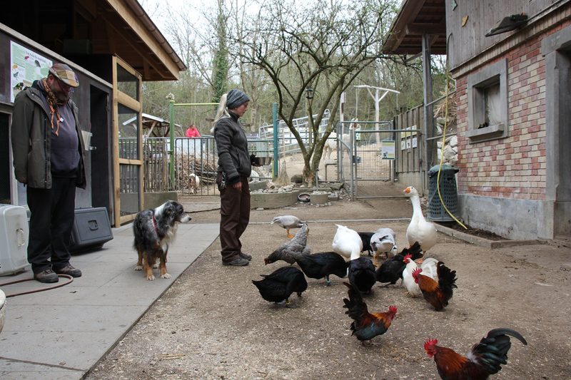 Johns kleine Farm auf der Suche nach einem neuen Standort