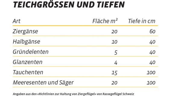 Tabelle Grösse Ententeiche