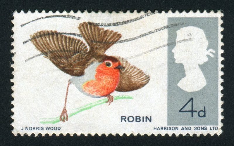 Das Rotkehlchen, der Weihnachtsvogel