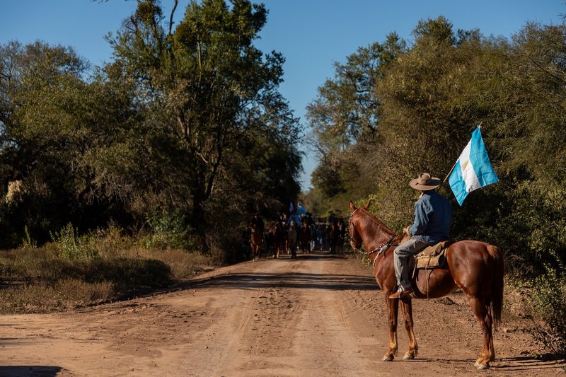 Criollo: Das zähe Pferd der argentinischen Gauchos