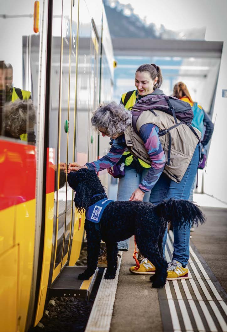 Blindenhunde-Ausbildung: Wie Patenfamilien Welpen zu Assistenzhunden machen