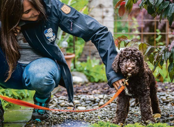 Blindenhunde-Ausbildung: Wie Patenfamilien Welpen zu Assistenzhunden machen