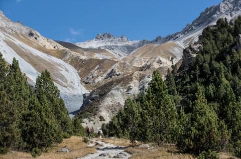 04-nationalpark-bartgeier-auswilderung.jpg