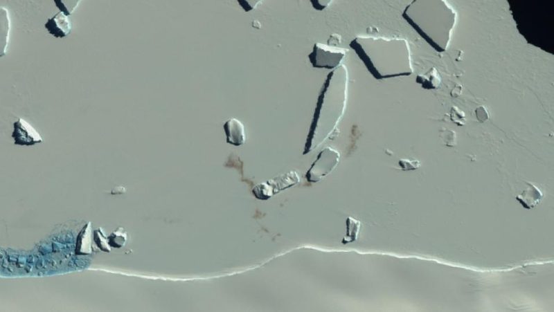 Satellitenaufnahme von Pinguinkot
