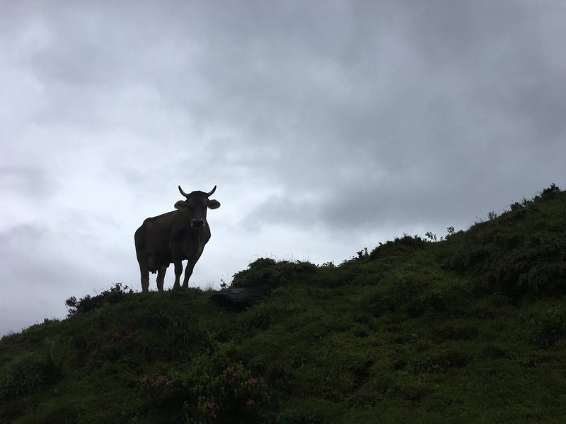In schwindelerregenden Höhen auf der Via Alpina