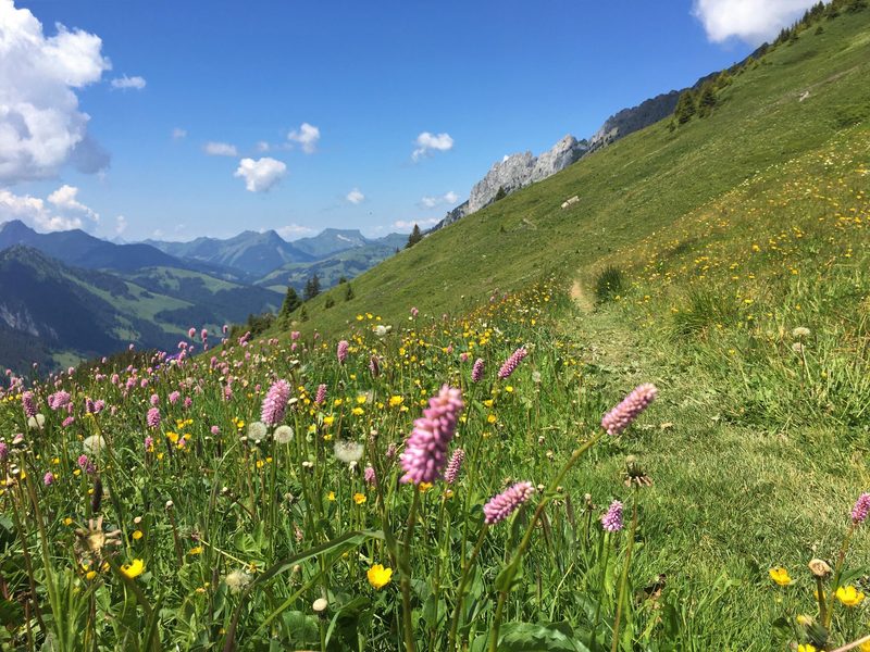 In schwindelerregenden Höhen auf der Via Alpina