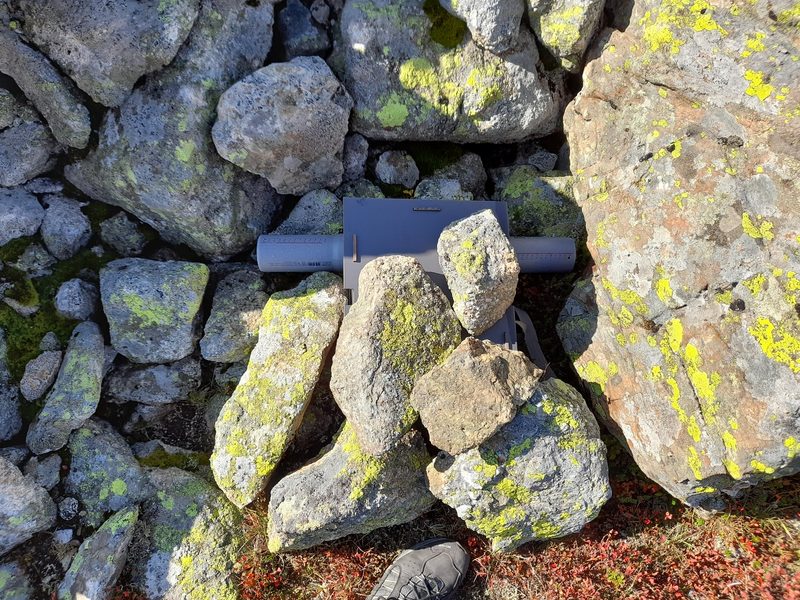 Mit Fotofallen auf Mäusejagd