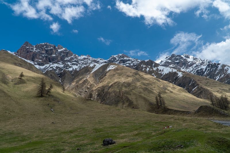«Es braucht fünf Menschenleben, um die Natur zu verstehen»