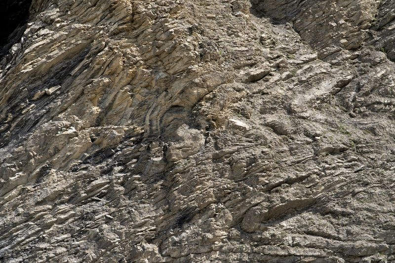 «Es braucht fünf Menschenleben, um die Natur zu verstehen»