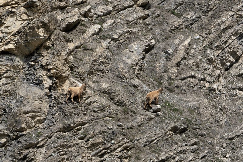«Es braucht fünf Menschenleben, um die Natur zu verstehen»