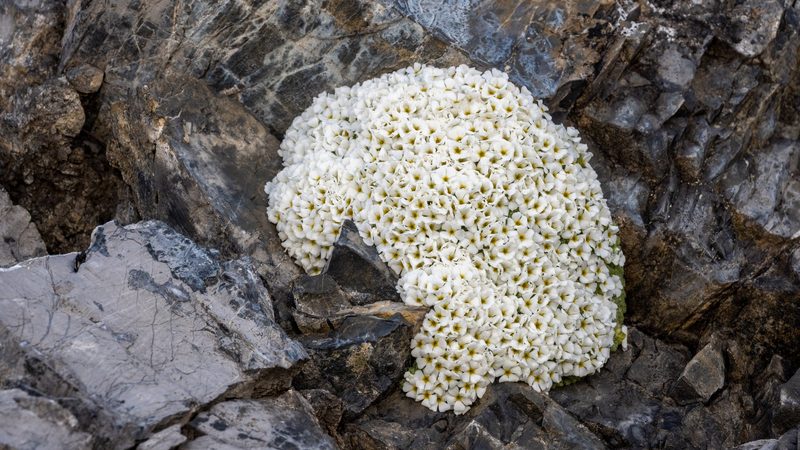 «Es braucht fünf Menschenleben, um die Natur zu verstehen»