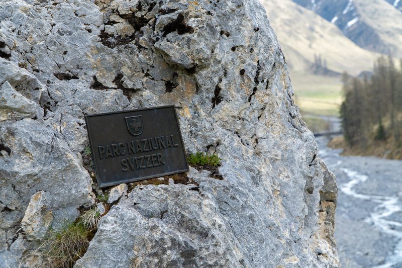 «Es braucht fünf Menschenleben, um die Natur zu verstehen»