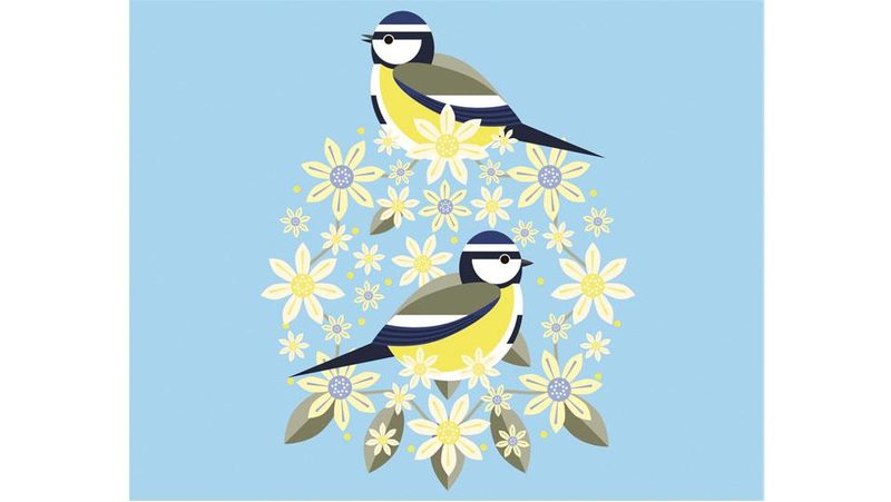 Illustration Blaumeise